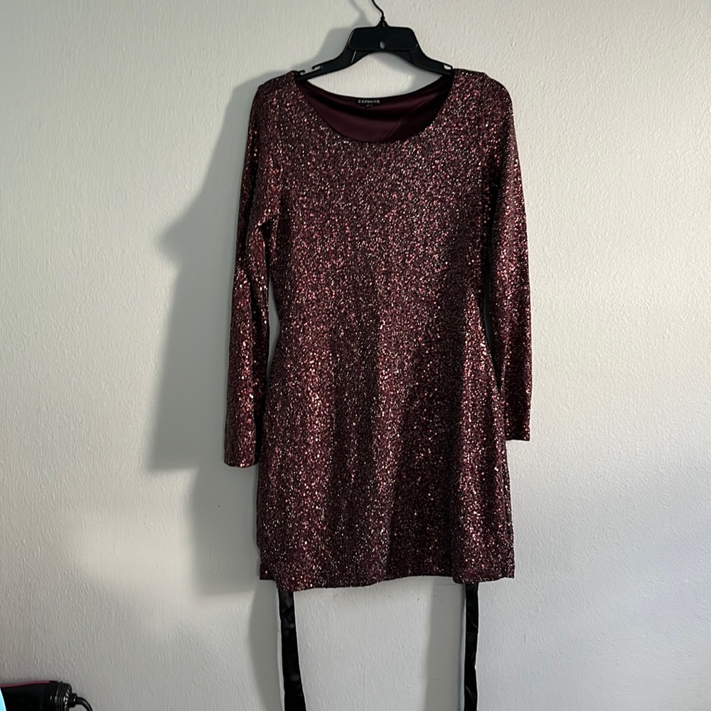 EUC Express, gorgeous burgundy wine color sequin and silver shimmer thread dress